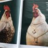 Our Chickens used for a photoshoot in the newspaper