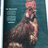 Opgezette kippen van de Jachtkamer in de krant