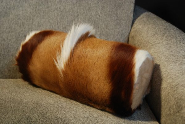 Pillows made ​​of springbok skin