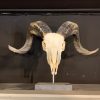 Ram skull on pedestal