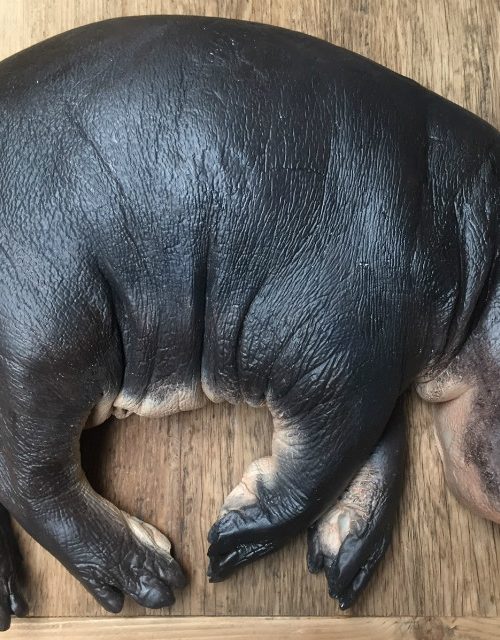 Replica of a hippo calf