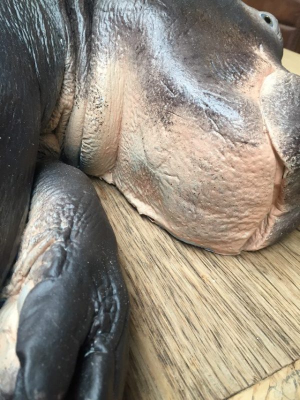 Replica of a hippo calf