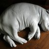 With coated replica of a hippo calf