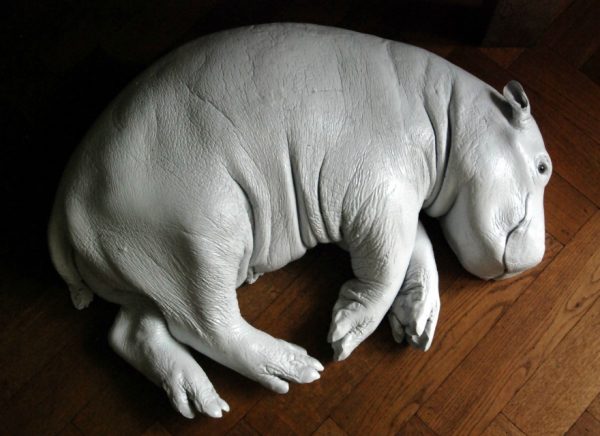 With coated replica of a hippo calf