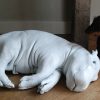 With coated replica of a hippo calf