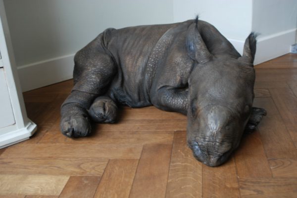 Replica of a rhino calf