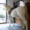 RE 190, Bijzonder levensgroot beeld van een paard