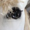 RE 190, Bijzonder levensgroot beeld van een paard