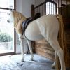 Stunning life-size statue of a horse