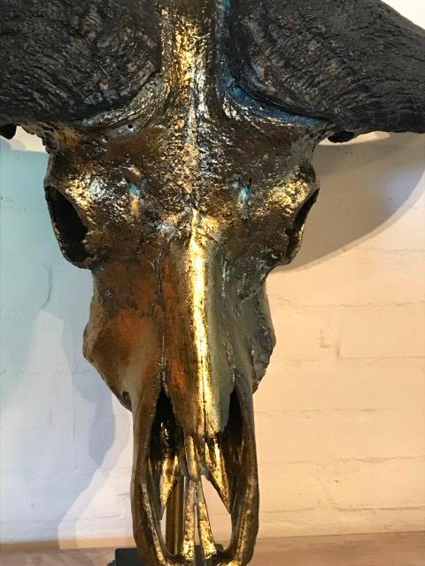 Real metalized skull of a Cape buffalo