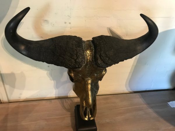 Real metalized skull of a Cape buffalo