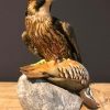 Recently mounted Lanner falcon with prey.