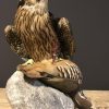 Recently mounted Lanner falcon with prey.