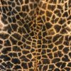 Recent zacht gelooide huid van een giraffe