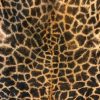 Weich gegerbter Haut einer Giraffe