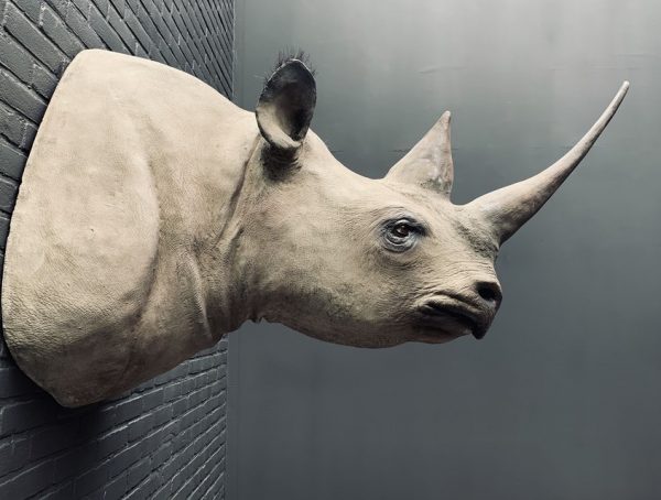 Replica of a black rhinoceros.