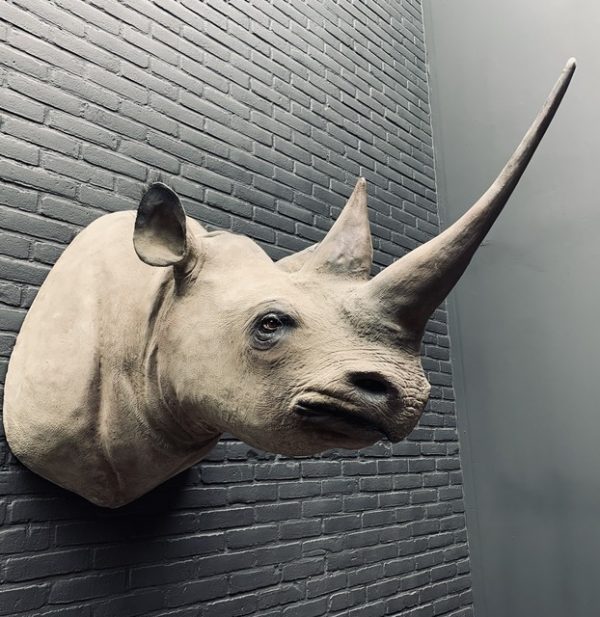 Replica of a black rhinoceros.