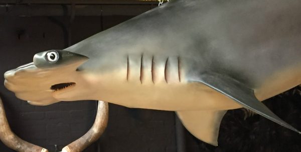 Replica of a hammerhead shark