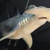 Replica of a hammerhead shark