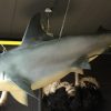 Replica of a hammerhead shark
