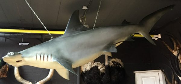 Replica of a hammerhead shark