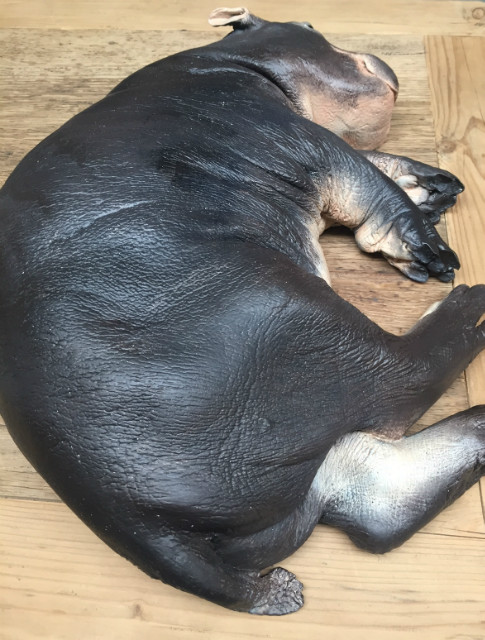 Replica of a hippo calf