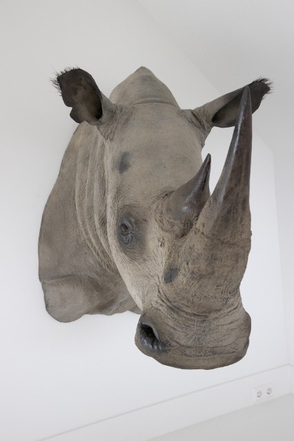Replik-Rhino-Kopf