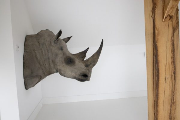 Replica Rhino Head.