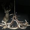 Round chandelier antlers