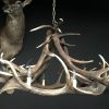 Round chandelier antlers