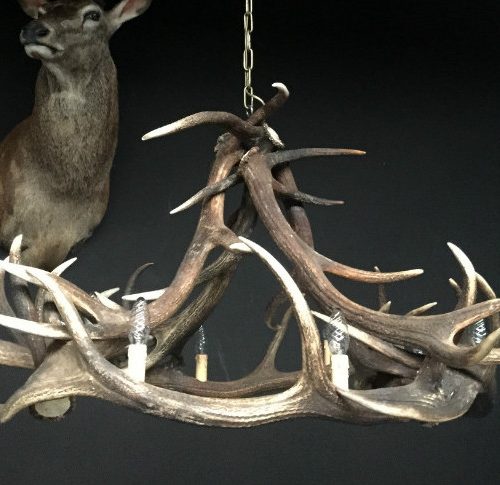 Round chandelier antlers