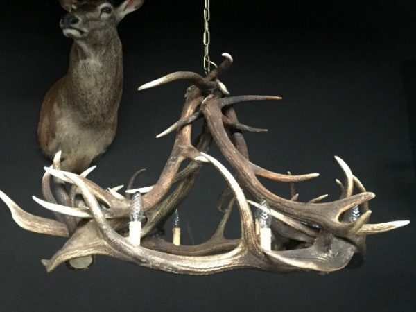 Round chandelier antlers