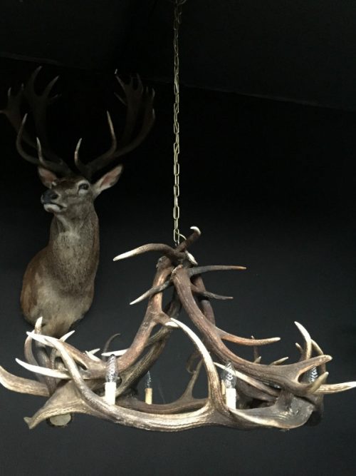 Round chandelier antlers