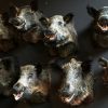 SM 460-C, Stuffed wild boar heads.