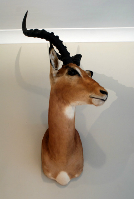 SM 475-B, Impala shoulder mounts