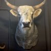 SM 500-B, Impossing head of a Hungarian steppen bull