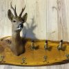 SM 650-A, Authentic coat rack. Roe buck head