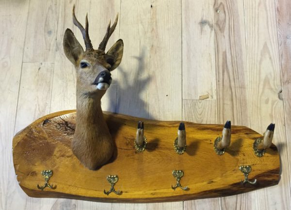 SM 650-A, Authentic coat rack. Roe buck head