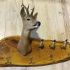 SM 650-A, Authentic coat rack. Roe buck head