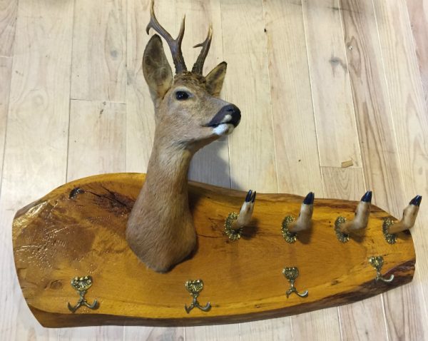 SM 650-A, Authentic coat rack. Roe buck head