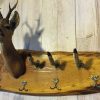 SM 650-A, Authentic coat rack. Roe buck head