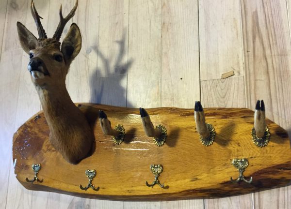 SM 650-A, Authentic coat rack. Roe buck head