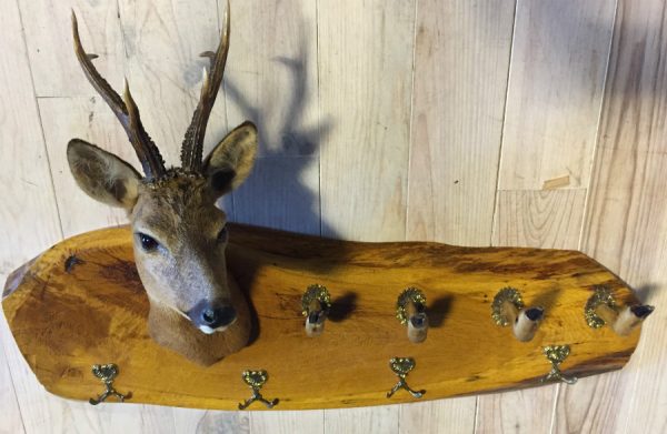 SM 650-A, Authentic coat rack. Roe buck head