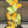 Antike Glasglocke mit Schmetterlingsmischung auf Traubenzweig
