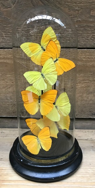 Small antique bell with yellow butterflies (Phoebis)