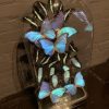 Special antique bell jar filled with blue butterflies