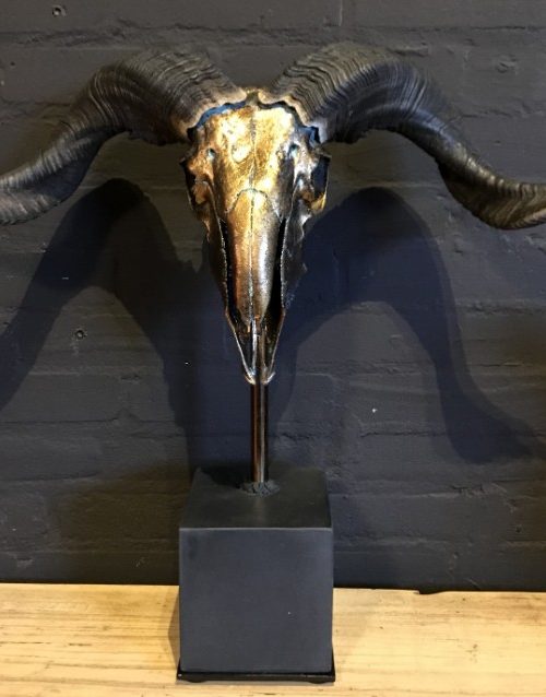 Special high-grade metallized (dark gold) skull of a Tibetan ram