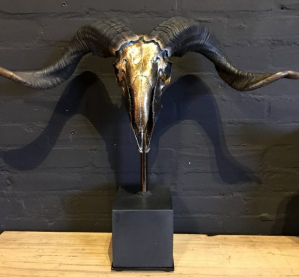 Special high-grade metallized (dark gold) skull of a Tibetan ram