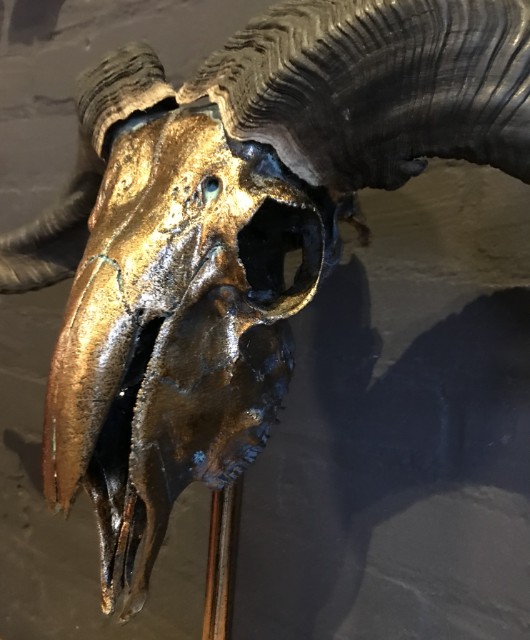 Special high-grade metallized (dark gold) skull of a Tibetan ram