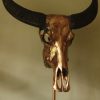 Special high-grade metallized (pink gold) skull of a water buffalo